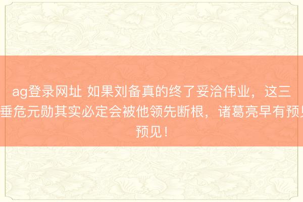 ag登录网址 如果刘备真的终了妥洽伟业，这三位垂危元勋其实必定会被他领先断根，诸葛亮早有预见！