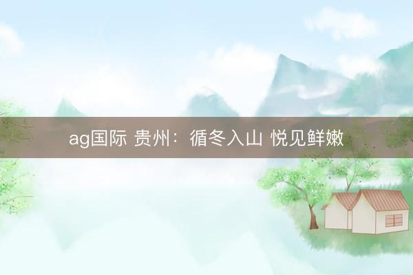 ag国际 贵州：循冬入山 悦见鲜嫩