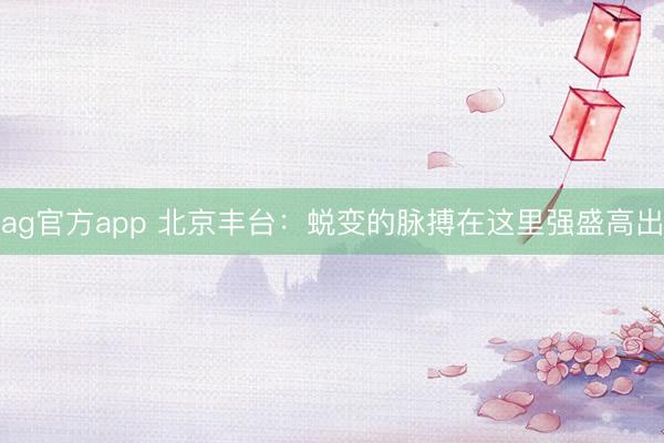 ag官方app 北京丰台：蜕变的脉搏在这里强盛高出