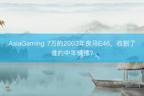 AsiaGaming 7万的2003年良马E46,收割了谁的中年情愫?