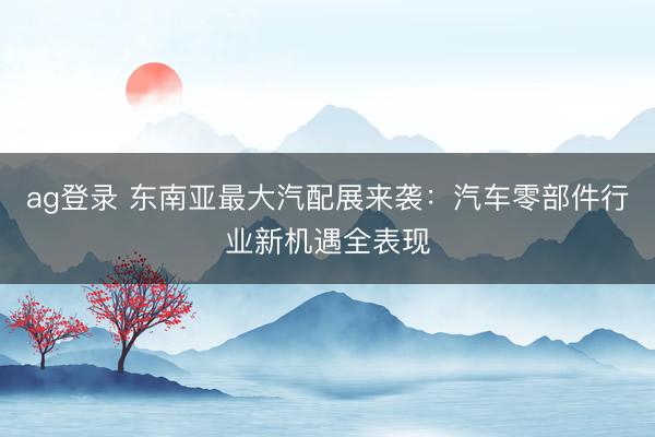 ag登录 东南亚最大汽配展来袭：汽车零部件行业新机遇全表现