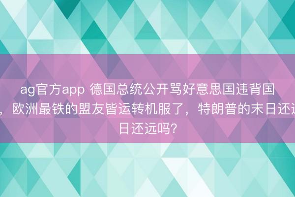 ag官方app 德国总统公开骂好意思国违背国际法，欧洲最铁的盟友皆运转机服了，特朗普的末日还远吗？