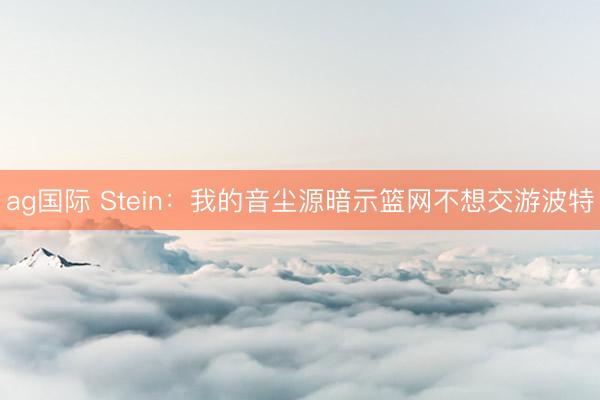 ag国际 Stein：我的音尘源暗示篮网不想交游波特