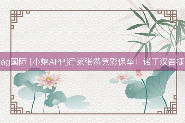 ag国际 [小炮APP]行家张然竞彩保举：诺丁汉告捷