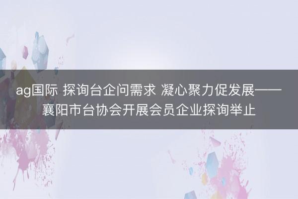 ag国际 探询台企问需求 凝心聚力促发展——襄阳市台协会开展会员企业探询举止