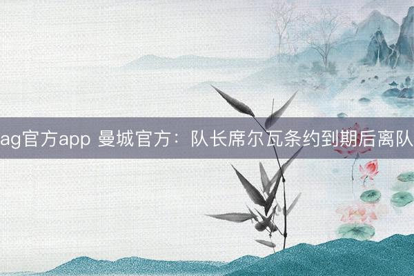 ag官方app 曼城官方：队长席尔瓦条约到期后离队