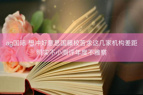 ag国际 想冲好意思国藤校苦求这几家机构差距照实不小测评年度不雅察