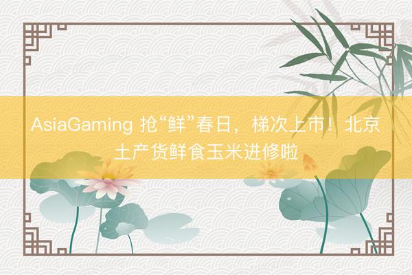 AsiaGaming 抢“鲜”春日，梯次上市！北京土产货鲜食玉米进修啦