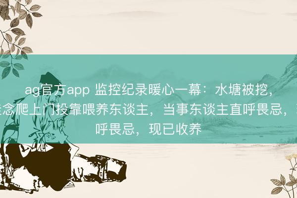 ag官方app 监控纪录暖心一幕：水塘被挖，乌龟凭挂念爬上门投靠喂养东谈主，当事东谈主直呼畏忌，现已收养