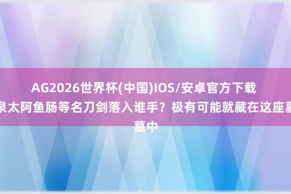AG2026世界杯(中国)IOS/安卓官方下载 龙泉太阿鱼肠等名刀剑落入谁手？极有可能就藏在这座墓中