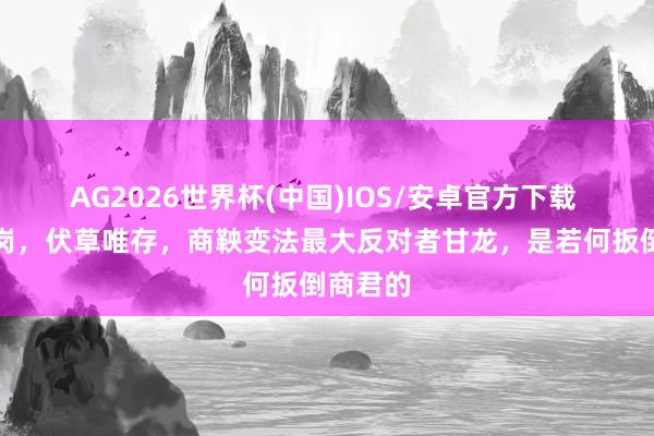 AG2026世界杯(中国)IOS/安卓官方下载 飓风过岗，伏草唯存，商鞅变法最大反对者甘龙，是若何扳倒商君的