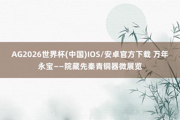 AG2026世界杯(中国)IOS/安卓官方下载 万年永宝——院藏先秦青铜器微展览