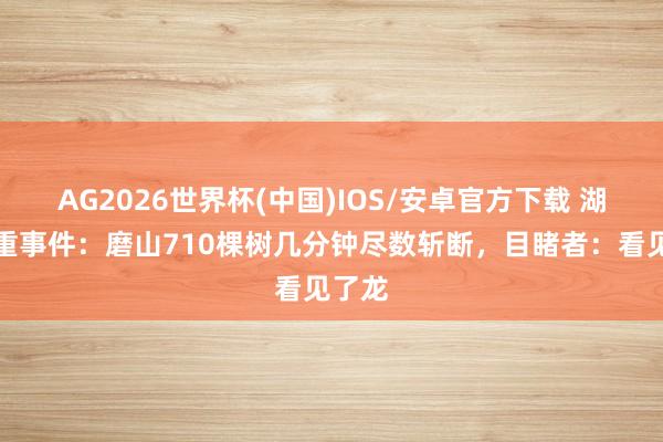 AG2026世界杯(中国)IOS/安卓官方下载 湖北深重事件：磨山710棵树几分钟尽数斩断，目睹者：看见了龙