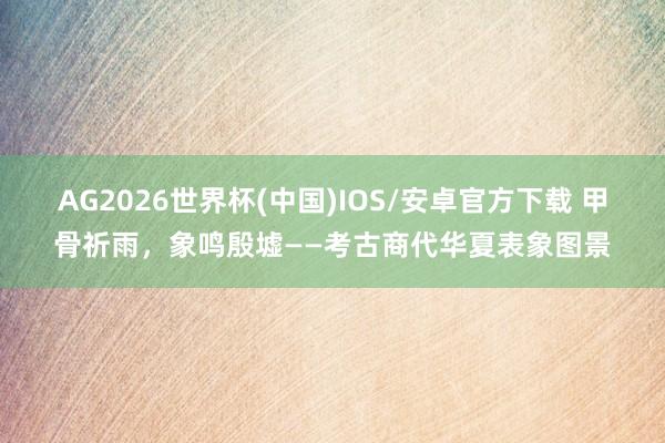 AG2026世界杯(中国)IOS/安卓官方下载 甲骨祈雨,象鸣殷墟——考古商代华夏表象图景