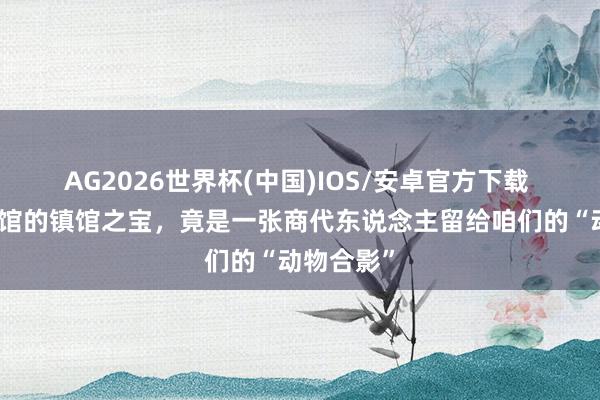 AG2026世界杯(中国)IOS/安卓官方下载 山东博物馆的镇馆之宝,竟是一张商代东说念主留给咱们的“动物合影”