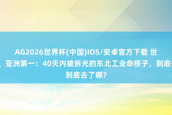 AG2026世界杯(中国)IOS/安卓官方下载 世界第四、亚洲第一:40天内被拆光的东北工业命根子,到底去了哪?