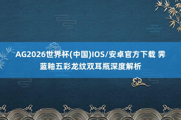 AG2026世界杯(中国)IOS/安卓官方下载 霁蓝釉五彩龙纹双耳瓶深度解析