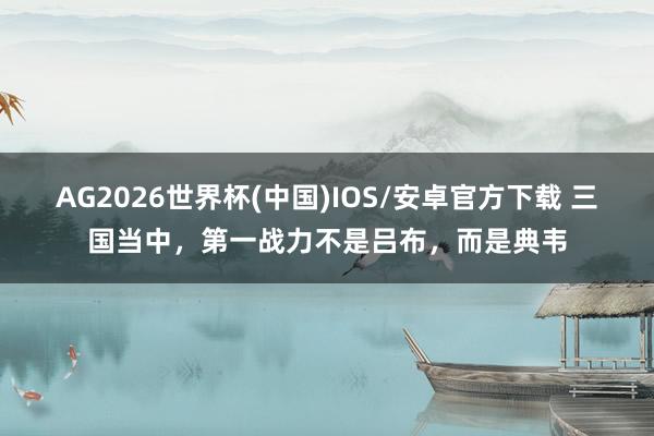 AG2026世界杯(中国)IOS/安卓官方下载 三国当中,第一战力不是吕布,而是典韦