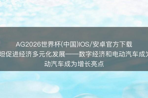 AG2026世界杯(中国)IOS/安卓官方下载 塔吉克斯坦促进经济多元化发展——数字经济和电动汽车成为增长亮点