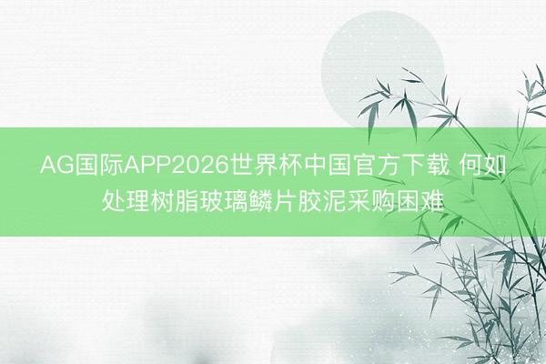 AG国际APP2026世界杯中国官方下载 何如处理树脂玻璃鳞片胶泥采购困难