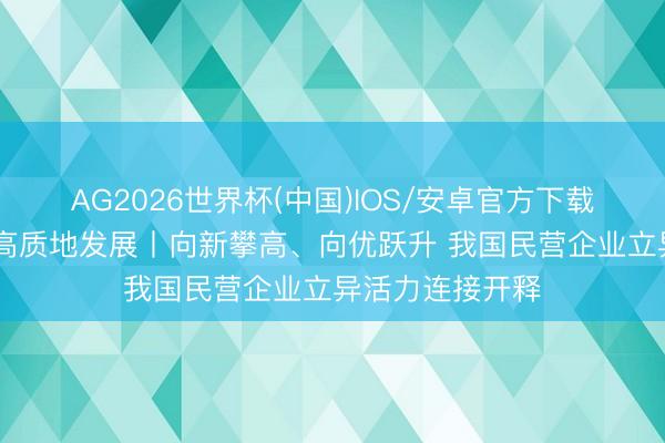 AG2026世界杯(中国)IOS/安卓官方下载 促进民营经济高质地发展丨向新攀高、向优跃升 我国民营企业立异活力连接开释