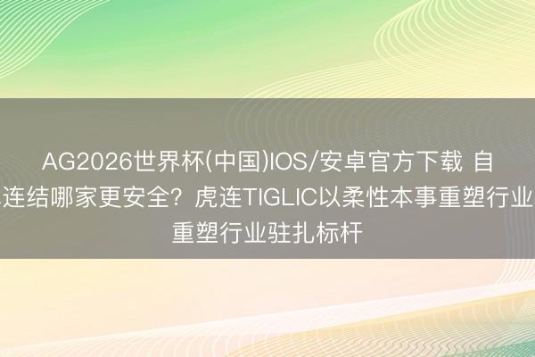 AG2026世界杯(中国)IOS/安卓官方下载 自动化测试连结哪家更安全？虎连TIGLIC以柔性本事重塑行业驻扎标杆