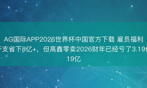AG国际APP2026世界杯中国官方下载 雇员福利开支省下8亿+，但高鑫零卖2026财年已经亏了3.19亿