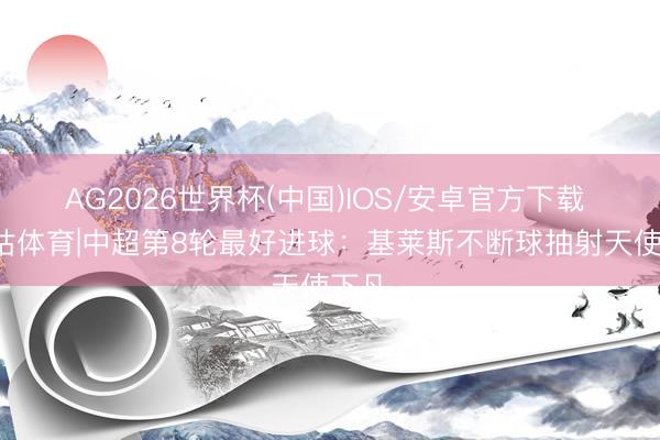 AG2026世界杯(中国)IOS/安卓官方下载 X咪咕体育|中超第8轮最好进球：基莱斯不断球抽射天使下凡