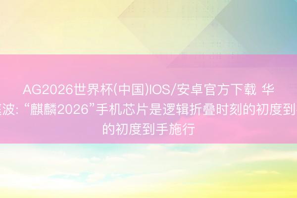 AG2026世界杯(中国)IOS/安卓官方下载 华为何庭波: “麒麟2026”手机芯片是逻辑折叠时刻的初度到手施行