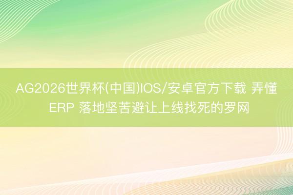 AG2026世界杯(中国)IOS/安卓官方下载 弄懂 ERP 落地坚苦避让上线找死的罗网
