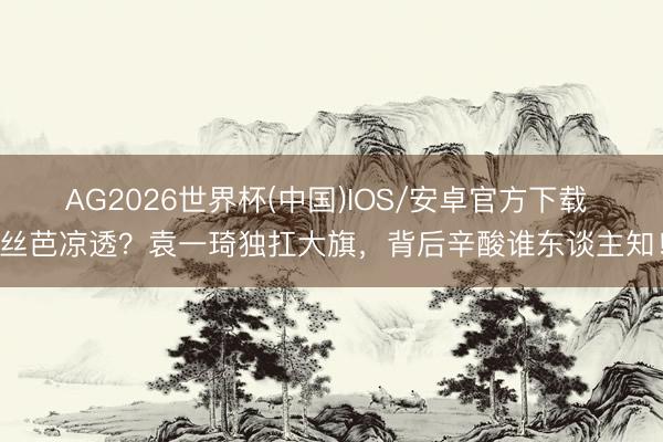 AG2026世界杯(中国)IOS/安卓官方下载 丝芭凉透？袁一琦独扛大旗，背后辛酸谁东谈主知！
