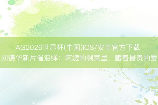 AG2026世界杯(中国)IOS/安卓官方下载 刘德华新片催泪弹：阿嬷的剩菜里，藏着最贵的爱
