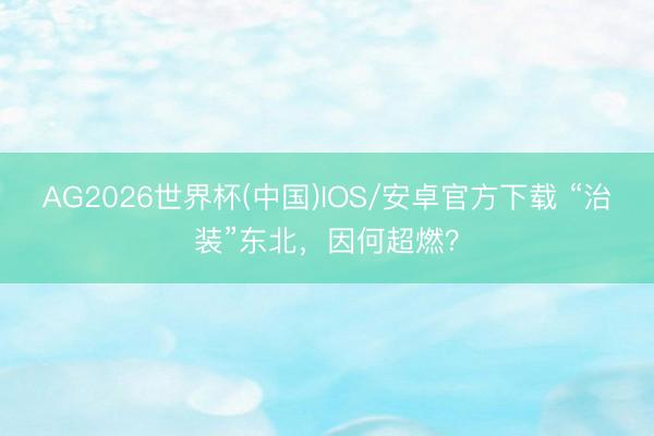 AG2026世界杯(中国)IOS/安卓官方下载 “治装”东北，因何超燃？