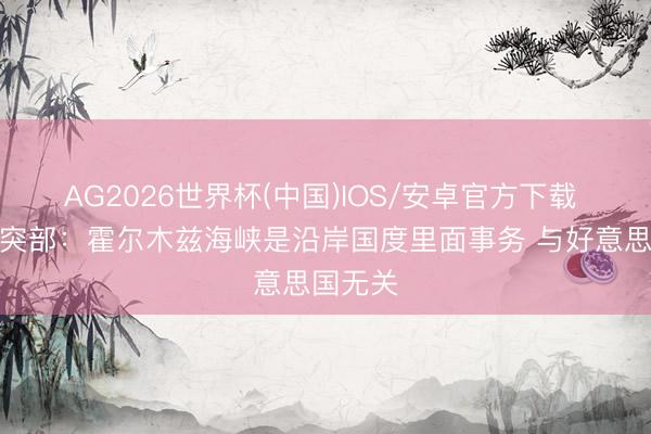 AG2026世界杯(中国)IOS/安卓官方下载 伊朗唐突部：霍尔木兹海峡是沿岸国度里面事务 与好意思国无关