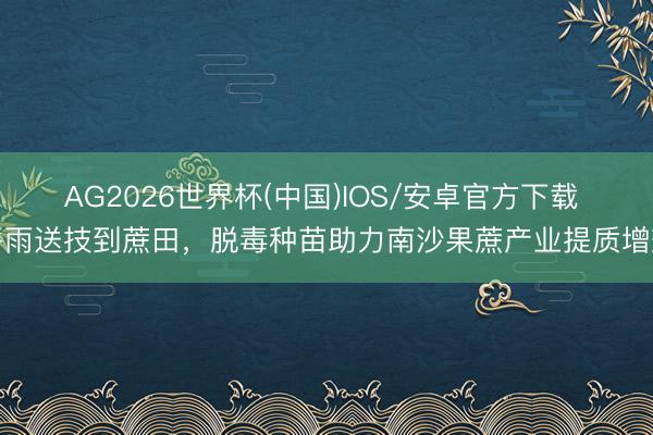 AG2026世界杯(中国)IOS/安卓官方下载 谷雨送技到蔗田，脱毒种苗助力南沙果蔗产业提质增效