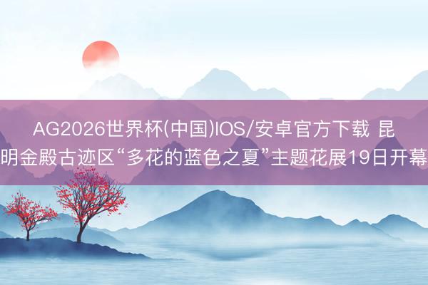 AG2026世界杯(中国)IOS/安卓官方下载 昆明金殿古迹区“多花的蓝色之夏”主题花展19日开幕